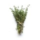 Box Aromatique - Thym (Thymus Officinalis)