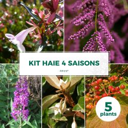 Kit Haie 4 Saisons - 5 Jeunes Plants