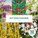 Kit Haie Fleurie - 10 Jeunes Plants