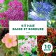 Kit Haie Basse et Bordure - 10 Jeunes Plants